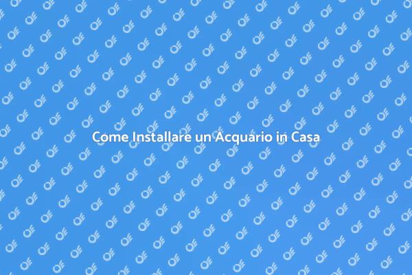 Guida all'Installazione di un Acquario