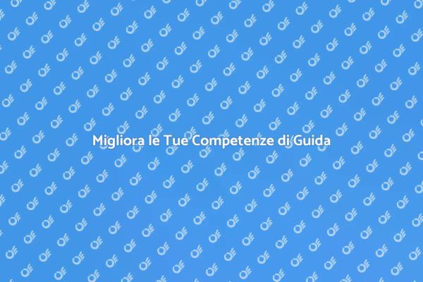 Lezioni Guida: Sicurezza e Competenza