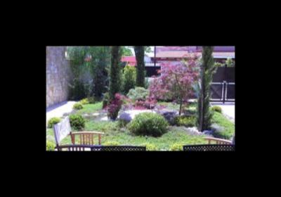 La Flora  - Foto 3