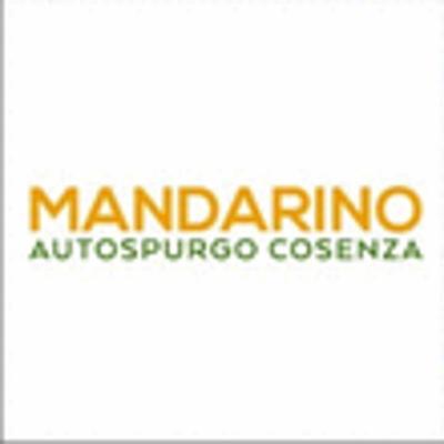 Autospurgo Mandarino Cosenza  - Foto 1