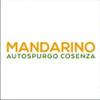 Autospurgo Mandarino Cosenza 