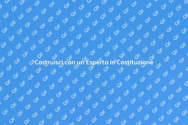 L'importanza di un Esperto in Costituzione