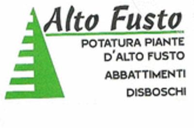 Alto Fusto  - Foto 1