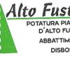 Alto Fusto 