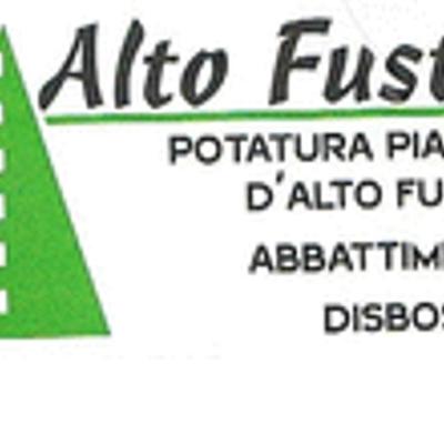 Alto Fusto