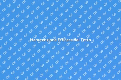 Pulizia e Manutenzione del Tetto