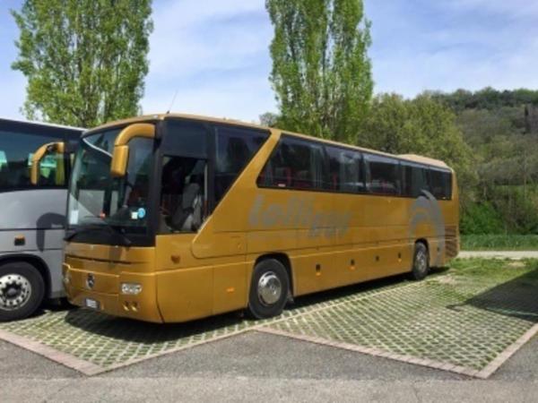 Lollibus  - Foto 2