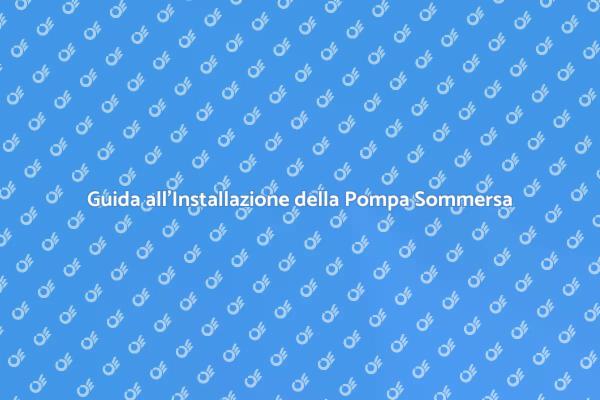 Installazione Facile della Pompa Sommersa