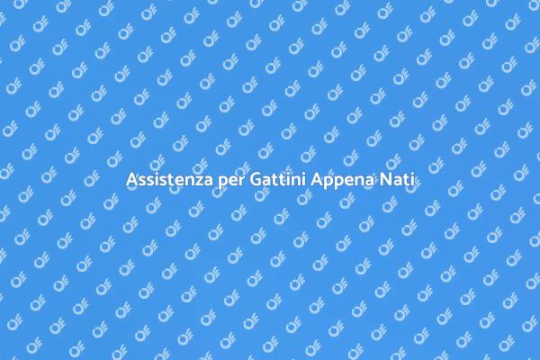Cura Specializzata per Gattini Nati