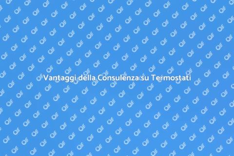 Consulenza Termostati con Sonda