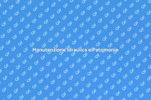 Ispezione Idraulica del Patrimonio