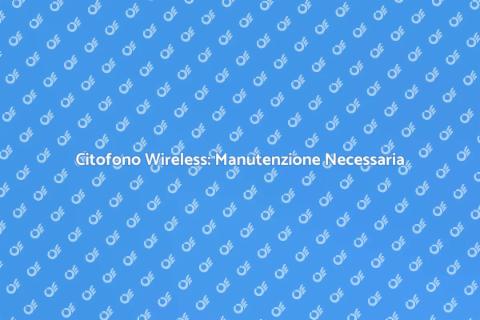 Manutenzione Citofono Wireless Essenziale