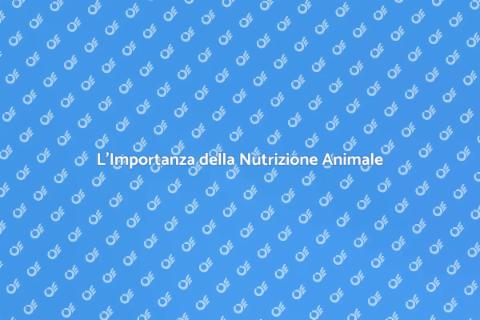 Nutrizione Animale: L'Esperto Necessario