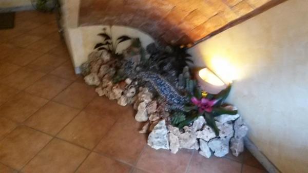 DITTA INDIVIDUALE - Foto 7
