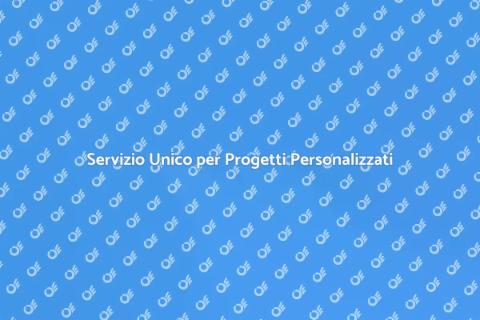 Coordinamento Personalizzato per Progetti