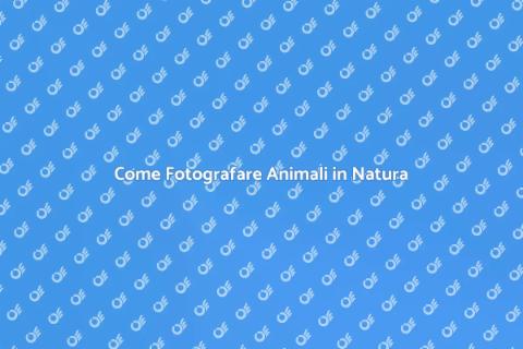 Fotografare Animali: Guida Completa