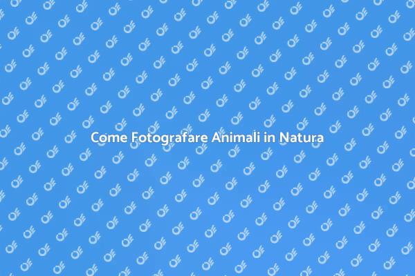 Tecniche per Catturare Animali in Foto
