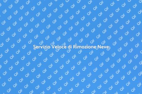 Rimozione Rapida della Neve