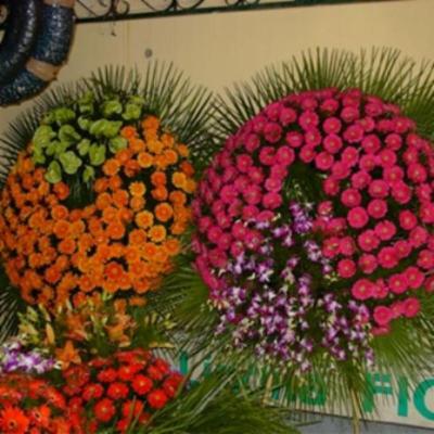 Lindita Fiori  - Foto 4