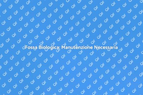 Manutenzione Fossa Biologica Efficiente