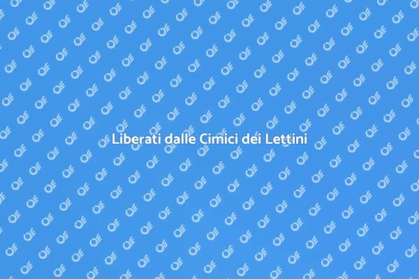 Combatti le Cimici con un Professionista
