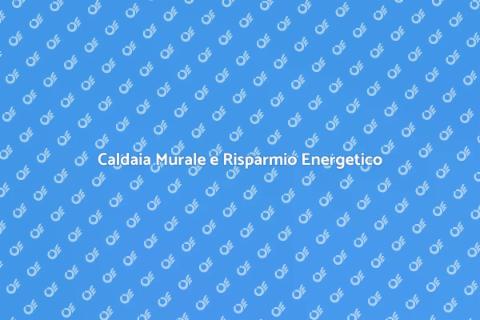 Efficienza Energetica Caldaia Murale