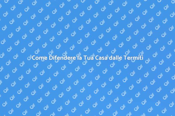 Proteggi la Tua Casa dalle Termiti