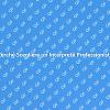 L'Importanza di un Interprete Professionista
