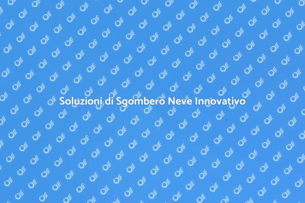 Magia Invernale: Sgombero Neve Efficace