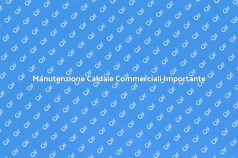 Riparazione Caldaie Commerciali Essenziale