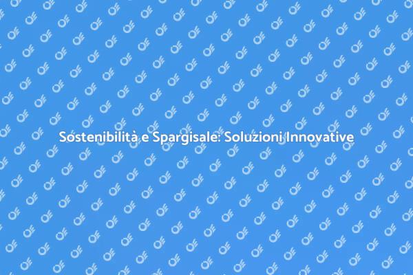 Innovazione nella Gestione dello Spargisale