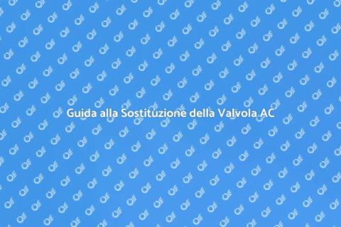 Sostituzione Valvola di Espansione AC