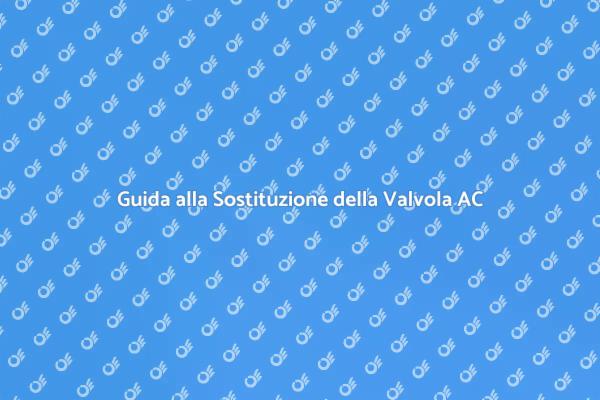 Sostituzione della Valvola di Espansione