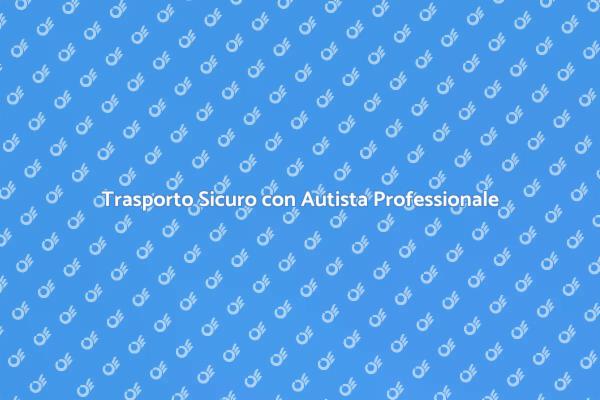 Viaggi Sicuri con Autista Qualificato