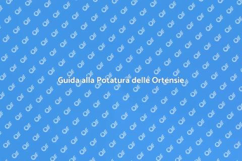 Potare Ortensie Senza Stress