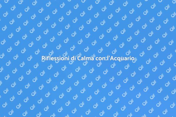 La Magia dell'Acquario in Casa