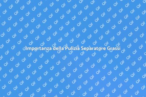 Pulizia Separatore di Grassi Essenziale