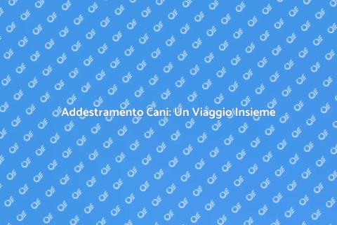 Corso di Addestramento per Cani