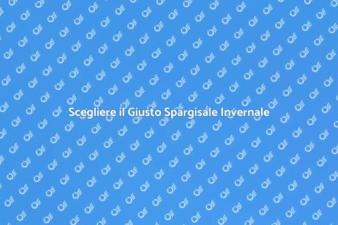 Miglior Spargisale per Superfici Stradali