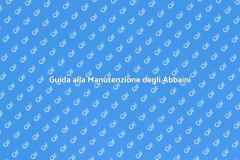 Manutenzione Tetto con Abbaini