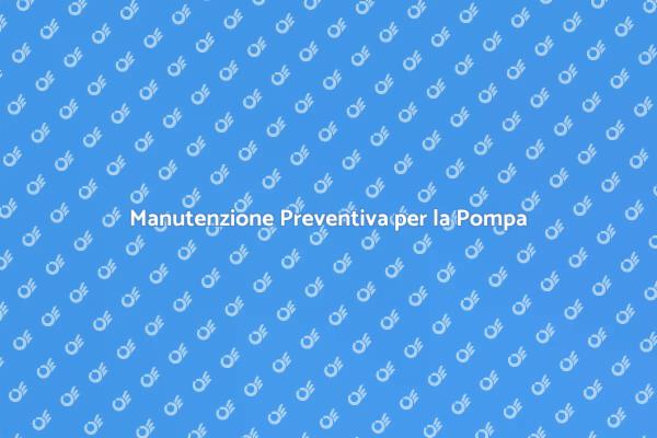 Manutenzione Essenziale della Pompa