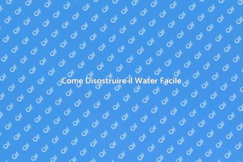 Disostruire il Water della Toilette