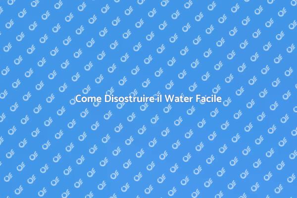 Soluzioni per il Water Intasato