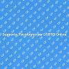 Crescita e Supporto per LGBTQ Online