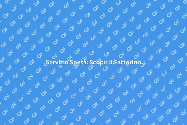 Fattorino per la Spesa: La Nuova Era