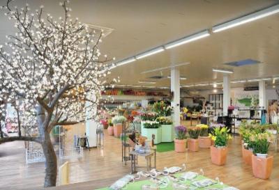 Florgarden  - Foto 5