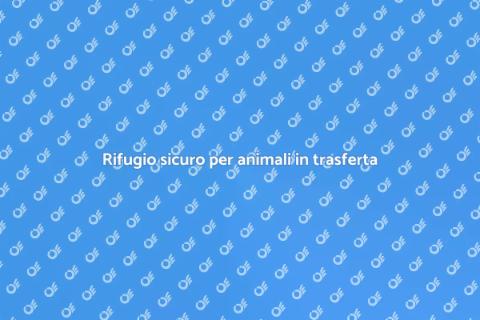 Pensione per animali: un rifugio sicuro