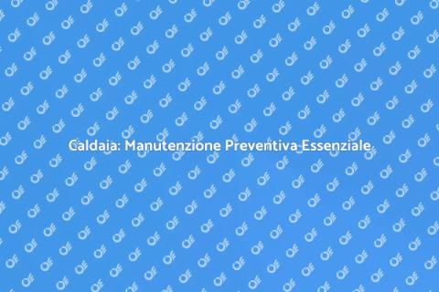Manutenzione Preventiva Caldaia