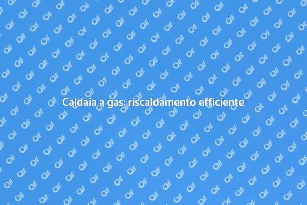 Trasforma la tua casa con una caldaia a gas