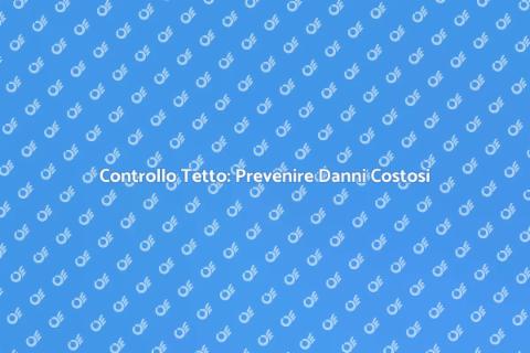 Ispezione Tetto: Sicurezza Prima di Tutto
